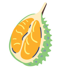 Durian half doodle vector illustration isolated on white.