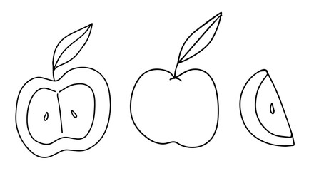 Hand drawn apple illustration. Set of apple slices. Simple outline fruits. Naive art.