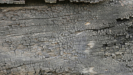 surface wooden of old wood texture
