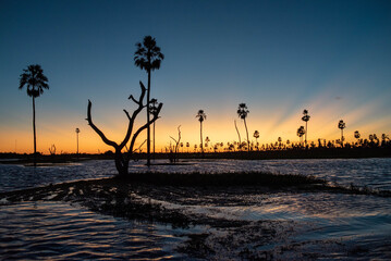 Atardecer increíble en el Bañado La Estrella, Formosa, Argentina. Su flora y su fauna en estado...