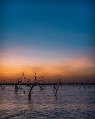 Atardecer increíble en el Bañado La Estrella, Formosa, Argentina. Su flora y su fauna en estado...