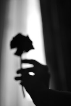 silhouette of a man with a flower in his hand