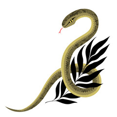 Snake wraps around leaf. Beautiful graphic illustration