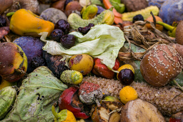 Household food waste for fruit and vegetable compost. Compost pile of vegetables and fruits.