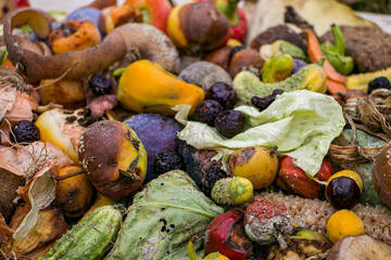 Household food waste for fruit and vegetable compost. Compost pile of vegetables and fruits.