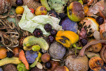 Household food waste for fruit and vegetable compost. Compost pile of vegetables and fruits.