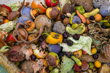 Household food waste for fruit and vegetable compost. Compost pile of vegetables and fruits.