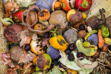 Household food waste for fruit and vegetable compost. Compost pile of vegetables and fruits.