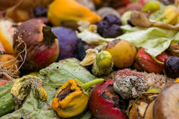 Household food waste for fruit and vegetable compost. Compost pile of vegetables and fruits.