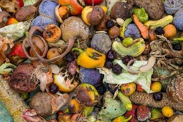 Household food waste for fruit and vegetable compost. Compost pile of vegetables and fruits.