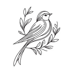 Obraz premium Bird line art full vector silhouette with pure white background