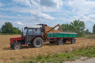Naklejka premium Tractor harvesting grain in a field. Men working
