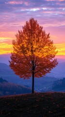 Fototapeta premium Autumn sunset over a solitary tree on a hilltop in the countryside