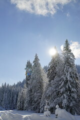 Kaiserwetter bei der Winkelmoosalm 6