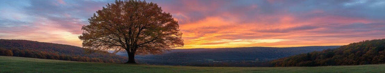 Fototapeta premium Sunset over the hills with a solitary tree in a peaceful landscape
