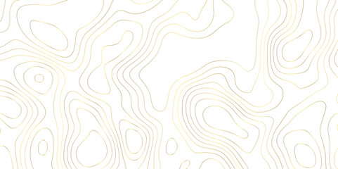 White fresh topography topology vector map contour abstract background wallpaper 
