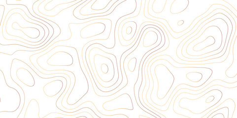 White fresh topography topology vector map contour abstract background wallpaper 