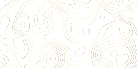 White fresh topography topology vector map contour abstract background wallpaper 