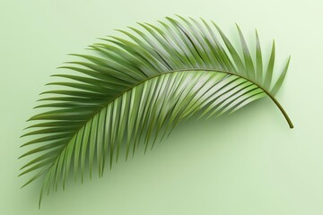 Obraz premium A single, vibrant green palm leaf gracefully curves across a soft, light green background, symbolizing nature, tranquility, growth, and the beauty of simple forms.