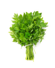 Fresh green parsley bunch on white background.