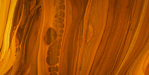 Expressive Painted Dreamscape Infused with an Array of Colors and Abstract Forms