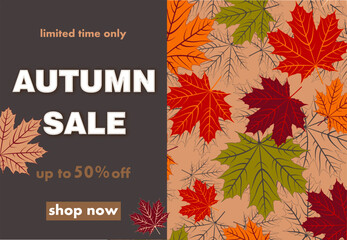 Big sale banner with colorful autumn leaves, vector illustration. Landing page template with fall foliage and profitable discount flat style design.