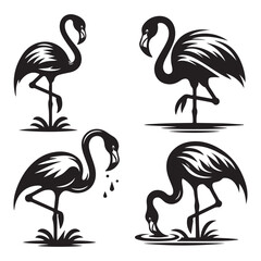 Flamingo silhouette isolated on white, Flamingo vector art, Flamingo silhouette, Flamingo illustration, Flamingo black and white vector, black and white Flamingo, Flamingo black and white vector illus