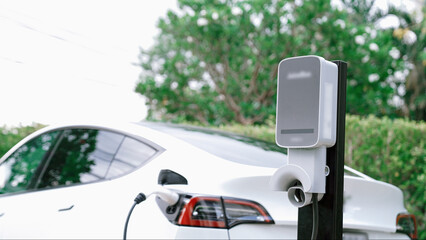 EV electric car recharge battery at parking lot in natural green city park. Alternative clean energy technology for rechargeable automobile for sustainable and eco friendly urban travel. Synchronos