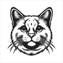 cat head silhouette vector illustration