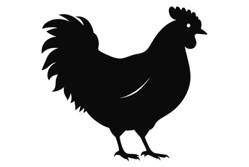 Beautiful chicken silhouette black vector art illustration