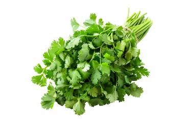 Obraz premium A vibrant bunch of cilantro with lush green leaves isolated on a white transparent background. Perfect for salads, various cooking methods, and healthy, nutritious dishes