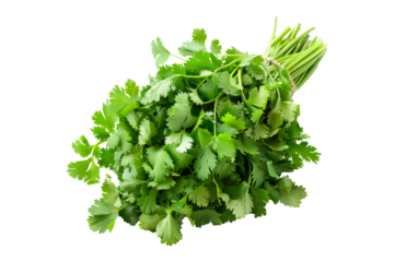 A vibrant bunch of cilantro with lush green leaves isolated on a white transparent background. Perfect for salads, various cooking methods, and healthy, nutritious dishes