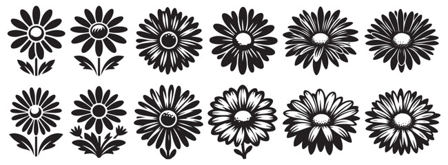 silhouettes of flowers, Daisy vector art, Daisy silhouette, Daisy illustration, Daisy black and white vector, black and white flower