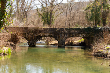 Fototapeta premium A mountain river flows in a forest, a landscape, a summer day, a forest grows along the banks of the stream. 