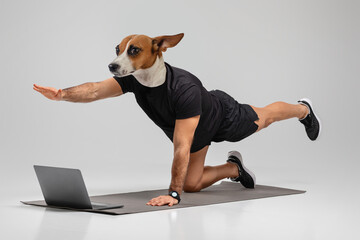 A man with a dog head is doing the bird dog exercise on a grey yoga mat, with his right arm outstretched and his left leg raised, while looking at a laptop that is lying open on the mat.
