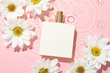 Beautiful daisy flowers and perfume bottle in water on pink background, flat lay