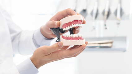 Orthodontology and prosthetics concept. Hands of male dentist showing plastic jaw model, close up, copy space