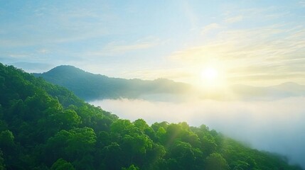Obraz premium Serene landscape with a lone tree standing in front of a misty waterfall.