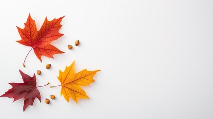 Small rust red and honey yellow autumn leaves with mini maple seeds on a white backdrop. Minimalistic, high resolution, clear sharp focus, hyper-detailed.
