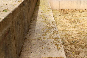 Fallen leaves and flowers on the sidewalk in a city park.
