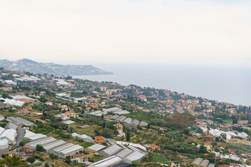 Obraz premium A Verdant Hillside Overlooking the Azure Mediterranean Sea