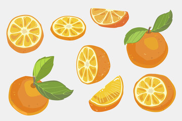 Fresh juicy oranges fruit in cartoon style. Set of delicious orange cut into pieces isolated. Organic fruits for lemonade juice, vitamin C healthy food. Vector illustration