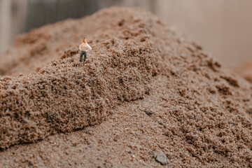Sand dunes tiny people macro people dunes desert sun