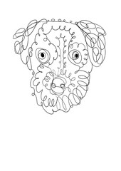 Illustration of a Border Terrier dog 