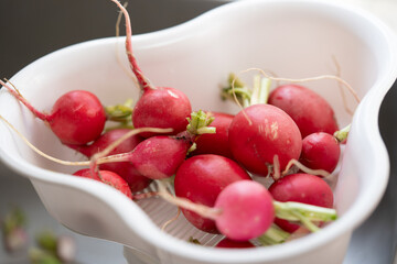 charola de plástico blanca con rábanos rojos escurriendo