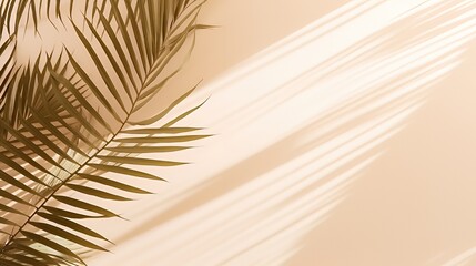 Obraz premium A minimalist composition featuring a palm leaf casting shadows on a soft background.