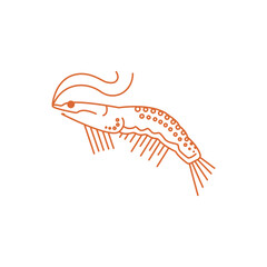 Abstract prawn. Shrimp drawing. Vector illustration