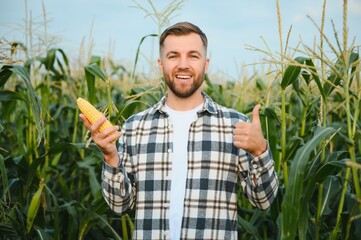 A young agronomist inspects the quality of the corn crop on agricultural land. Farmer in a corn...