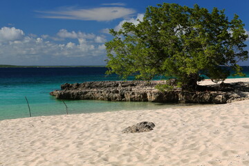Beach strip between the rainforest and the reef lagoon, north side of the old concrete berth on the west shore of Cayo Saetia Cay. Mayari-Cuba-629
