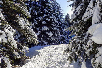 Mountain panorama of the ski area in the Lepontine Alps